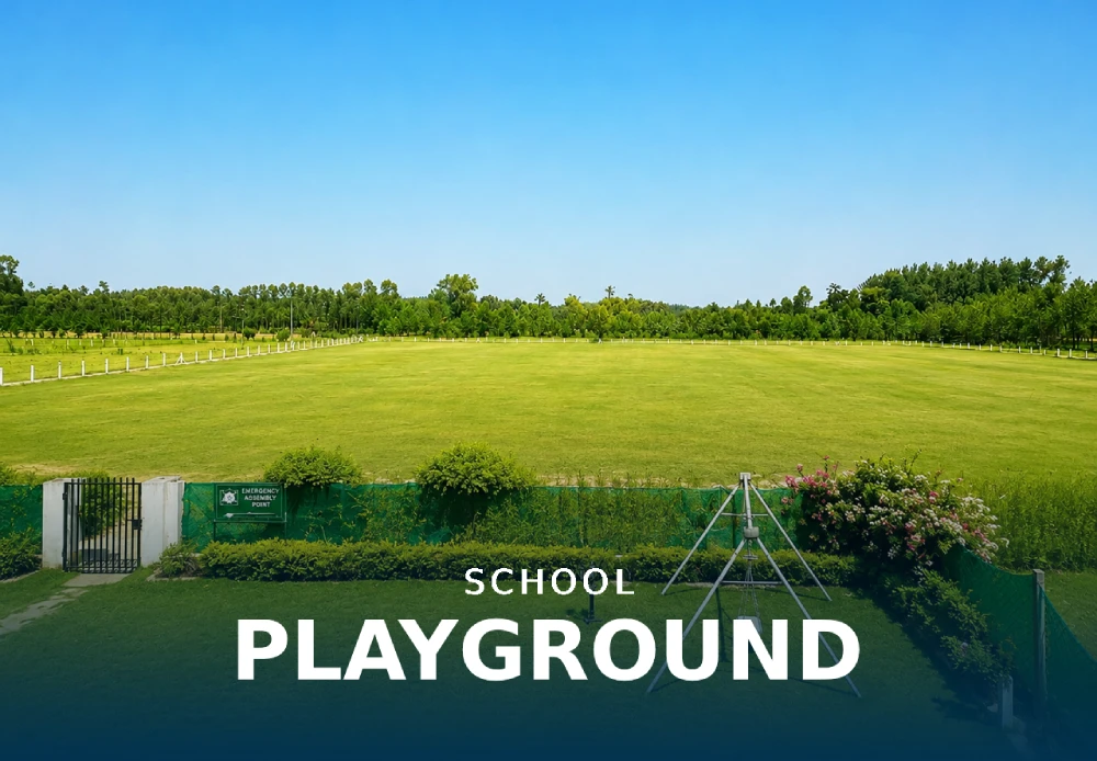 School Playground